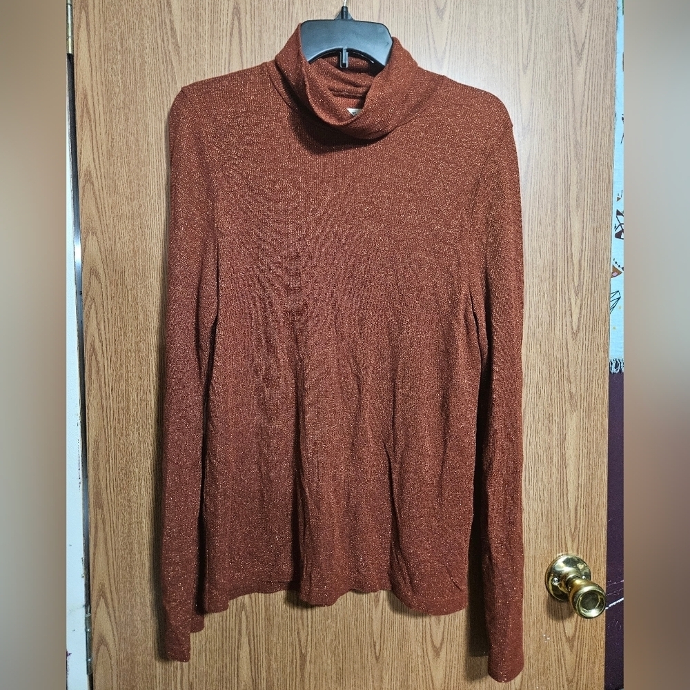 Madewell Night Sparkle Rust Red shimmer turtleneck long sleeve shirt!